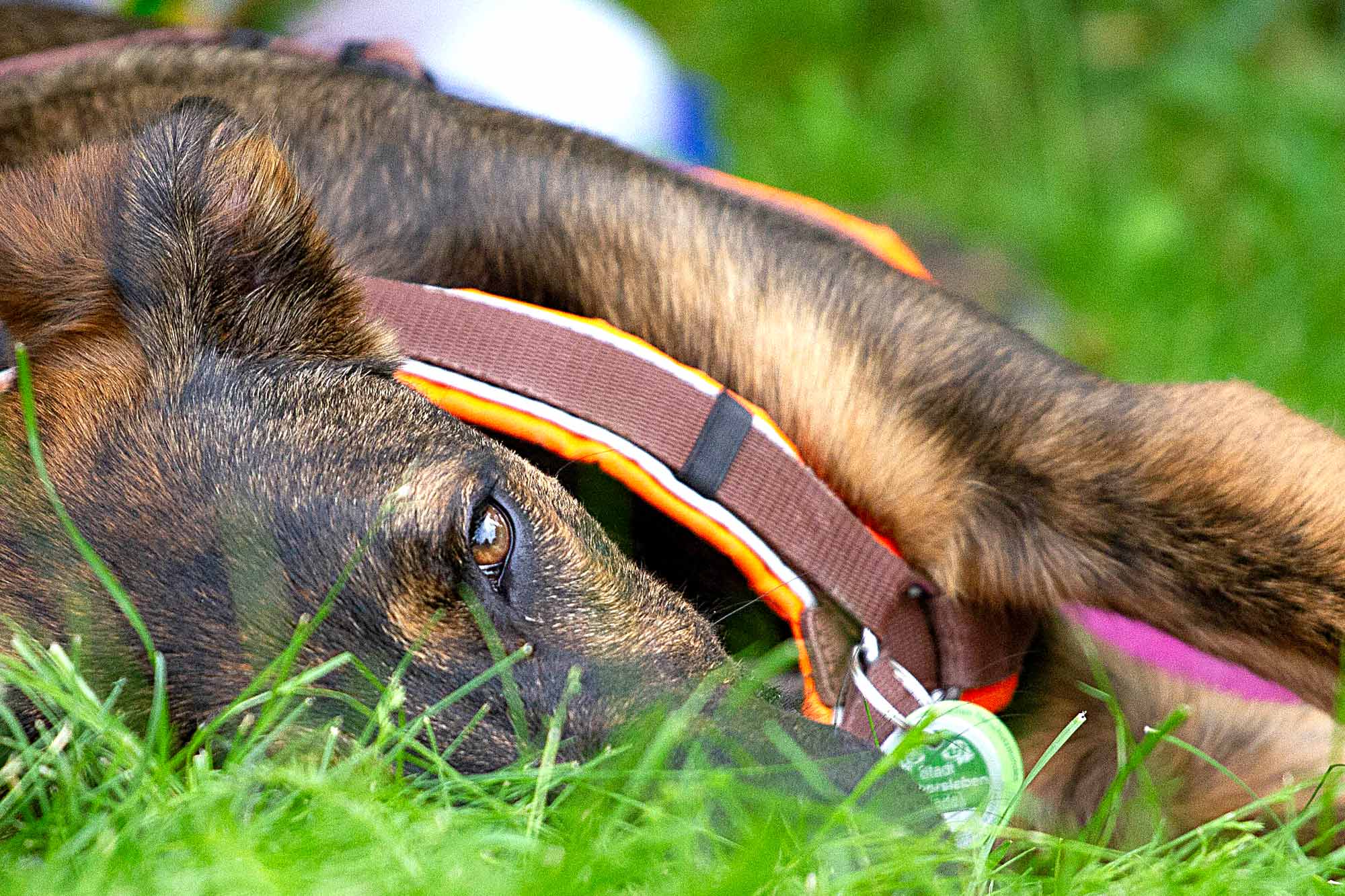 Titelbild | Bedürfnisse im Alltag integrieren: Routinen, Orientierung und Bindung stärken