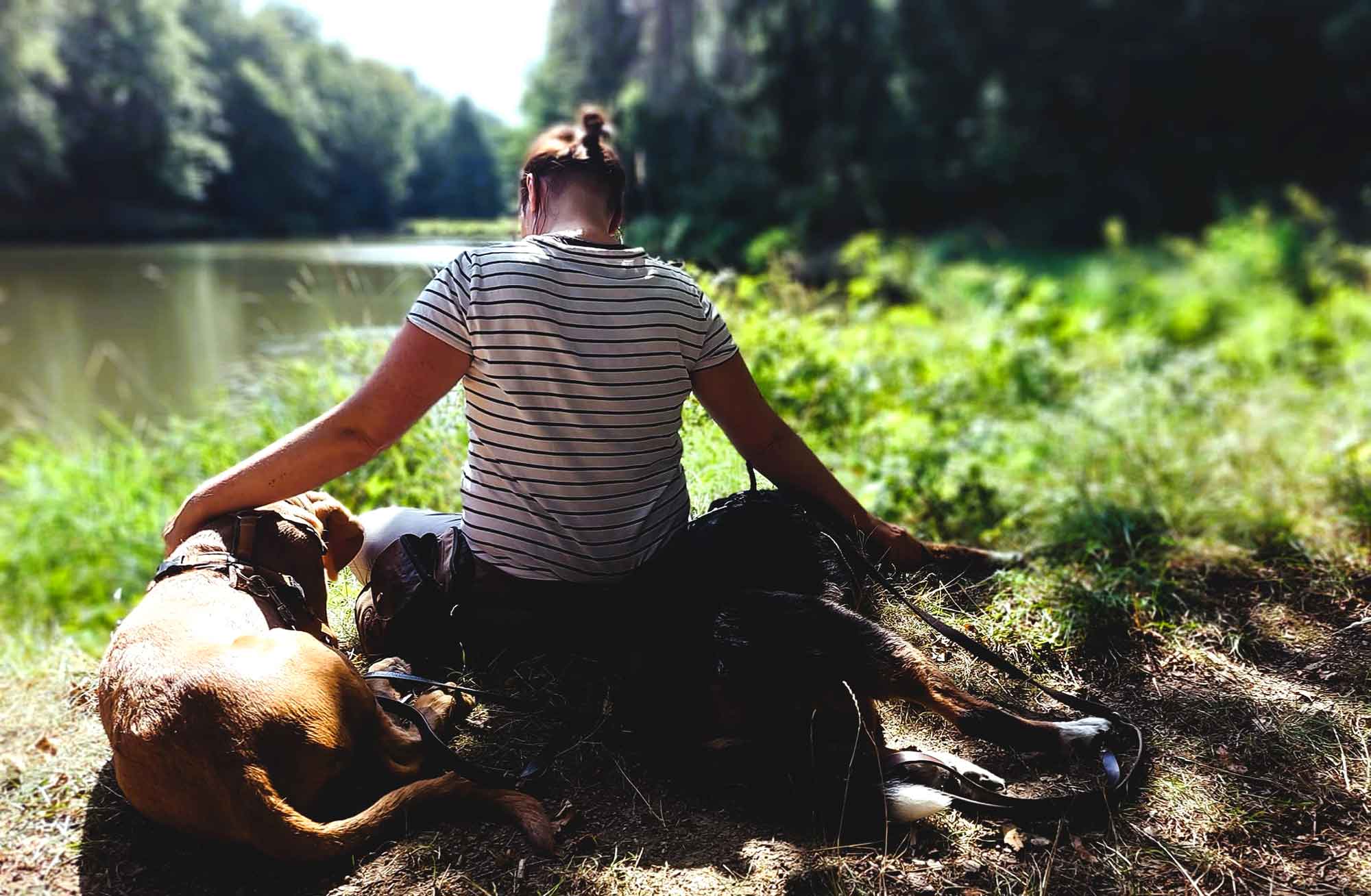 Titelbild | Bedürfnisse und neurodivergente Familien: Bindung, Orientierung und ein gelassener Alltag