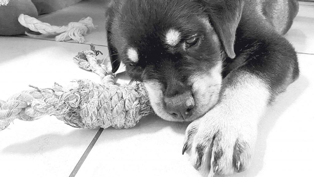 Bedürfnisse und neurodivergente Familien: Bindung, Orientierung und ein gelassener Alltag