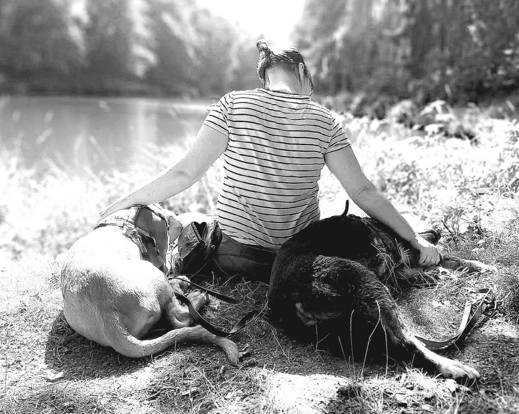 Bindung zwischen Mensch und Hund Teil 4 | Bindungsstile bei Hund und Mensch – Stabilität ist ein Prozess, kein Zustand