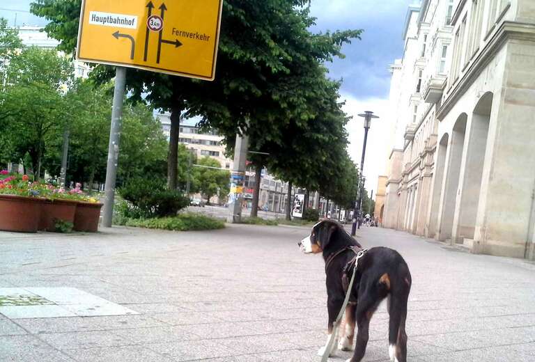 Nadine Liebert - Den eigenen Weg finden
