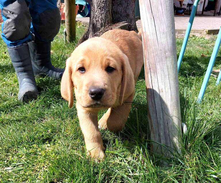 Nadine Liebert - Der Einzug, so spannend!