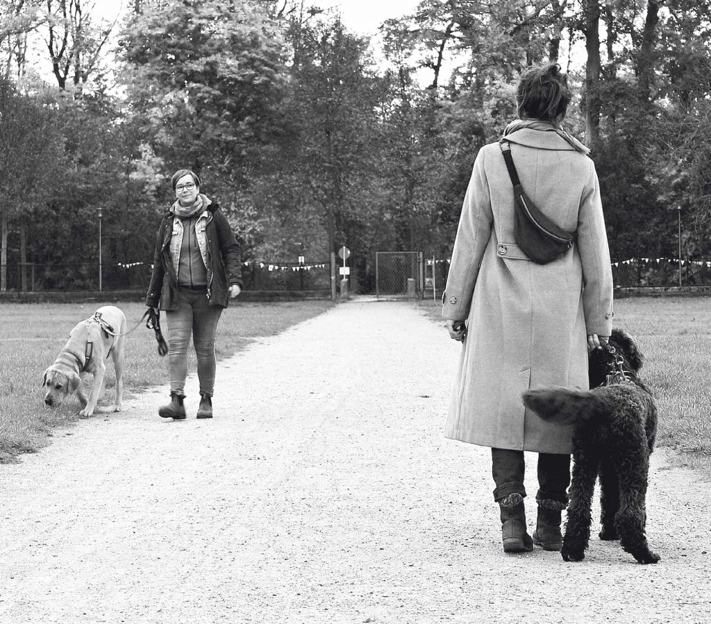 Für alle, die einfache Lösungen wollen – hier bist du falsch! - Der Welpenkompass von Nadine Liebert