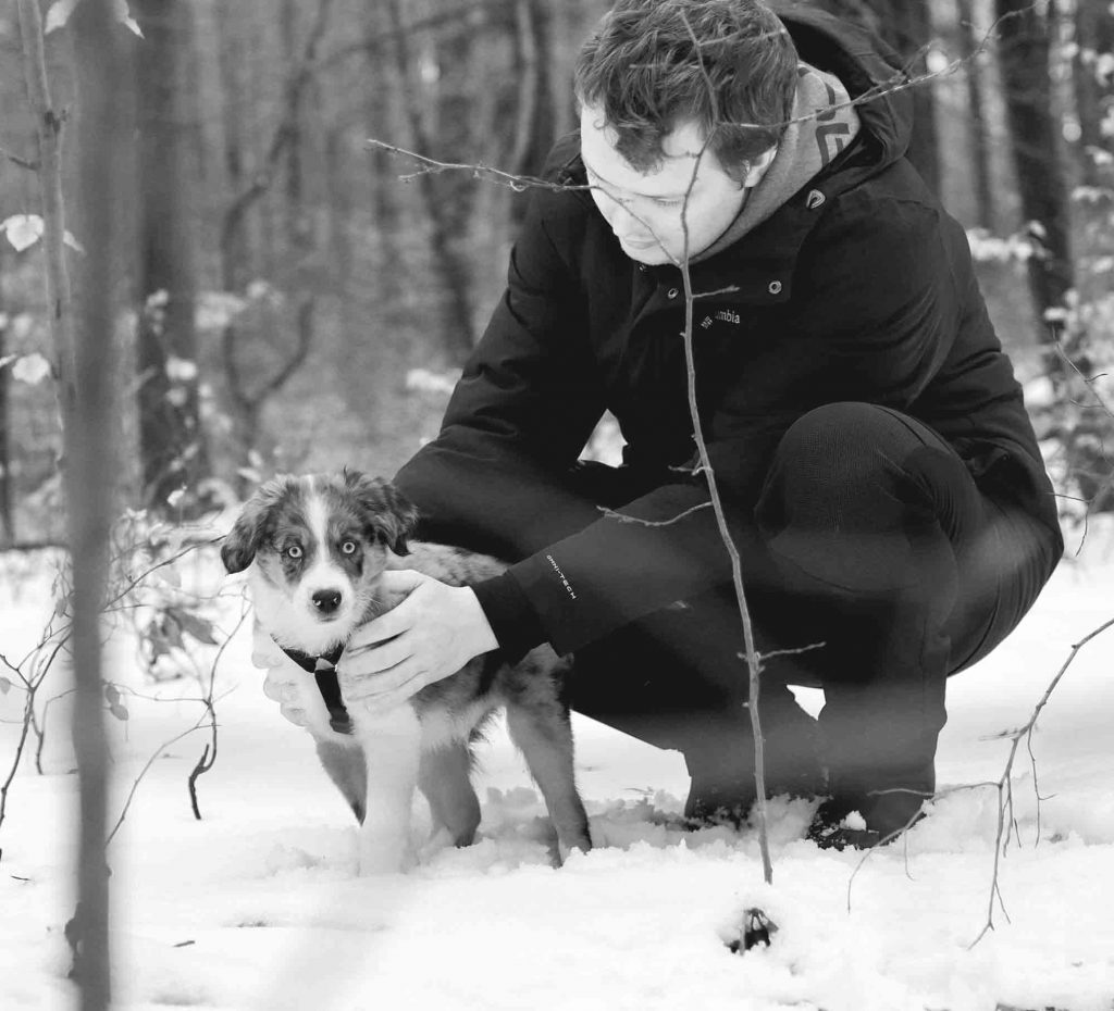 Frohes Fest mit Hund & Co. – So wird Weihnachten entspannt und sicher - Der Welpenkompass von Nadine Liebert