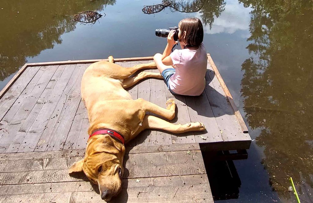 Gelassen leben - Der Welpenkompass von Nadine Liebert