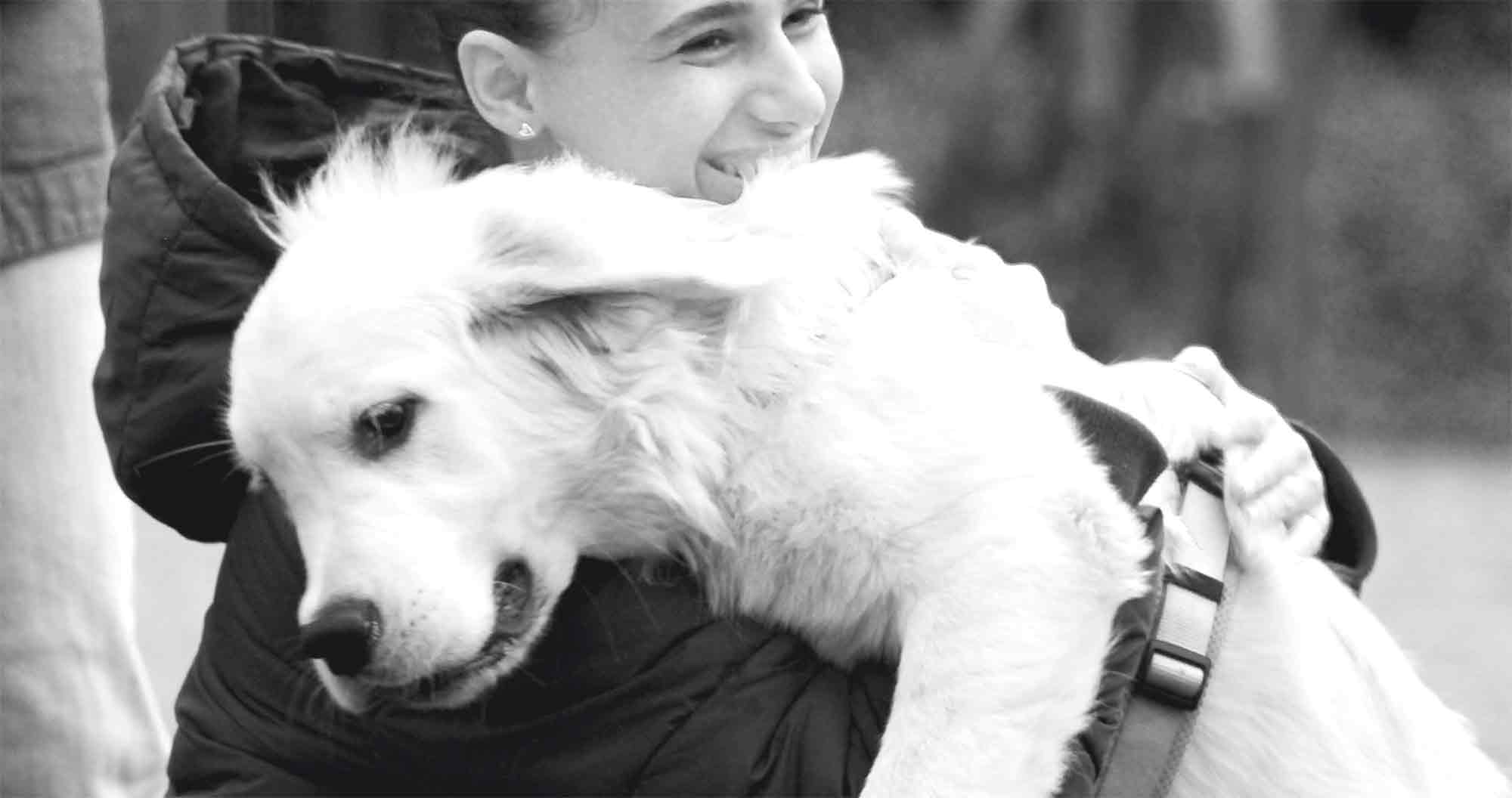 Gelasen leben - Der Welpenkompass von Nadine Liebert