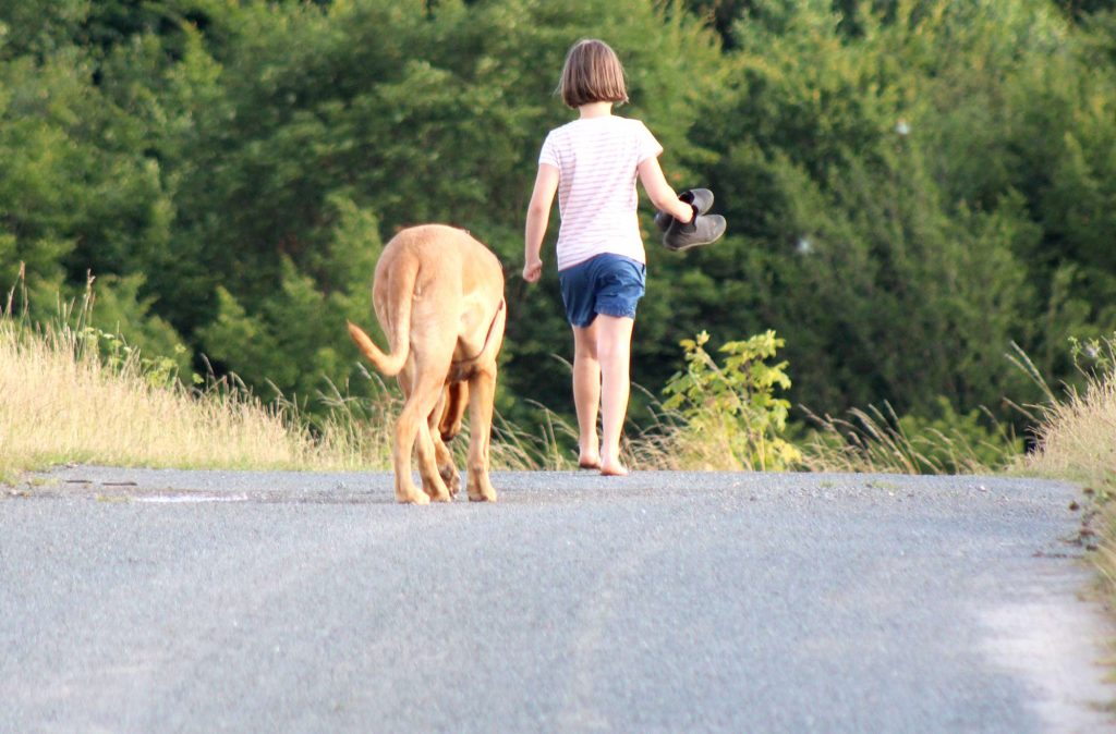 Startklar für den Welpen: Praxistipps für neurodivergente Familien - Der Welpenkompass von Nadine Liebert
