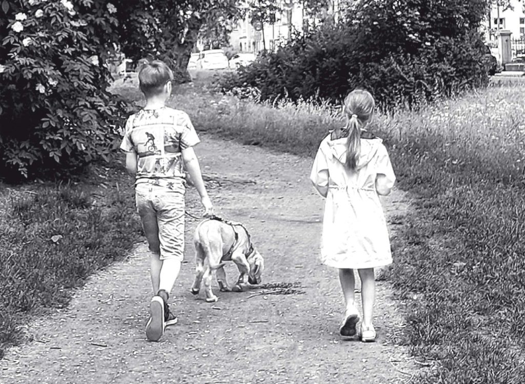 Startklar für den Welpen: Praxistipps für neurodivergente Familien im Welpenkompass von Nadine Liebert